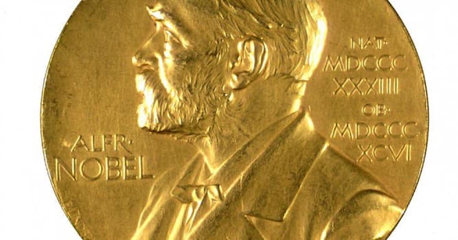 Geschiedenis Trivia Vraag: In welke categorie ontving een Nederlander nog nooit een Nobelprijs?