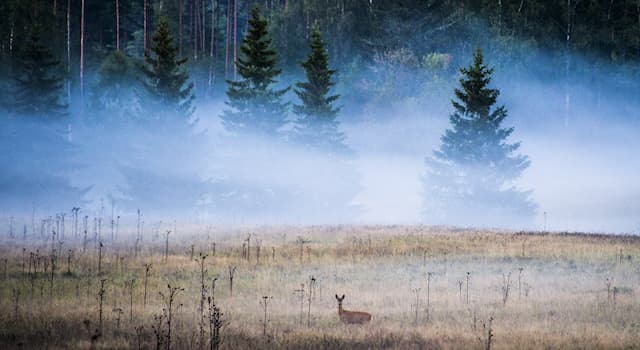 Natuur Trivia Vraag: Welk land was het eerste Europese land dat nationale parken stichtte?