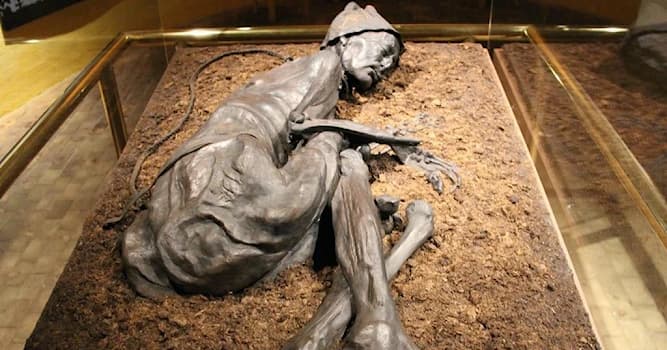 Historia Pregunta Trivia: ¿Por qué es importante el hallazgo del hombre de Tollund?
