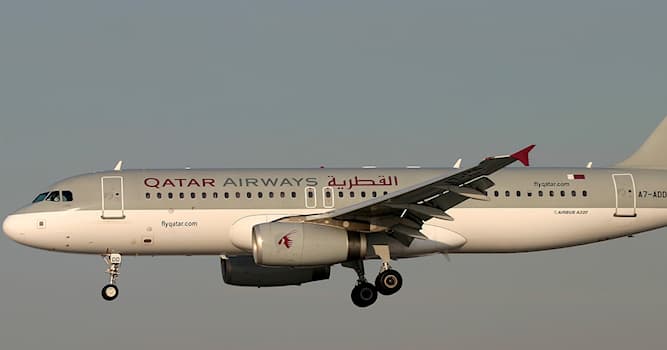 Culture Trivia Question: What animal features on the logo for 'Qatar Airways'?