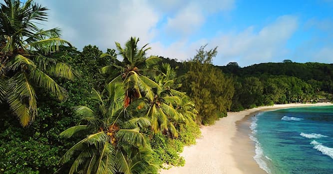 natura Pytanie-Ciekawostka: Jaki jest klimat w Barbados?