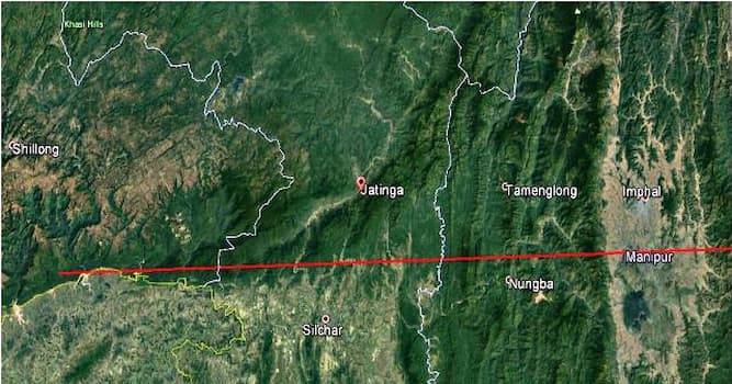 Natur Wissensfrage: Wodurch ist Jatinga, ein kleines Dorf in Assam (Indien), bekannt?