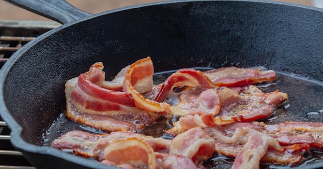 Cultura Pregunta Trivia: ¿De qué animal se obtiene el tocino?