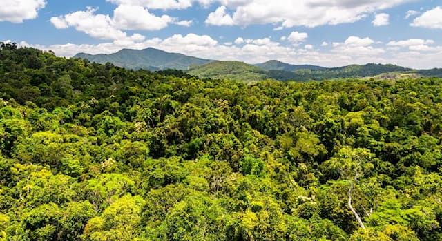 Natuur Trivia Vraag: Waar ligt het grootste deel van het Amazoneregenwoud?