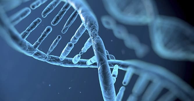 Wetenschap Trivia Vraag: Hoeveel paar chromosomen heeft een mens?