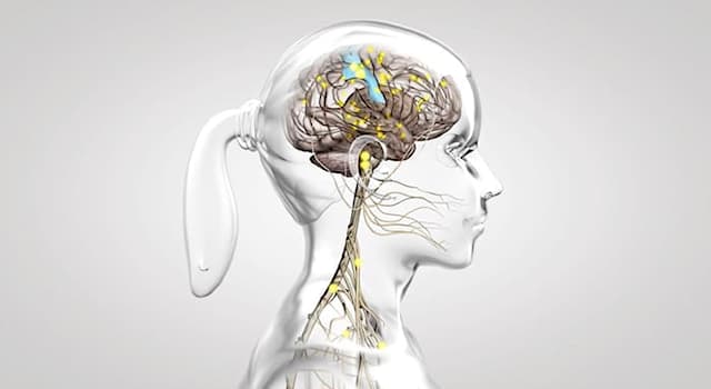 Science Question: Qu’est-ce que l’émétophobie ?