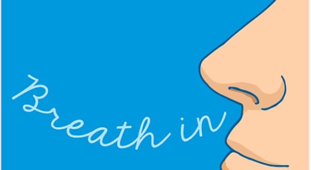 Science Trivia Question: With normal breathing, about how many breaths does the average person take per day?