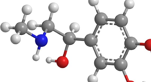 Science Trivia Question: All organic compounds contain which element?