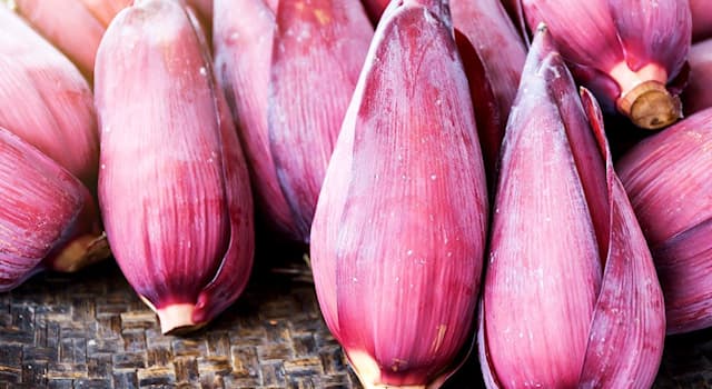 Culture Trivia Question: Banana blossom is often used as a vegan substitute for what?