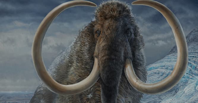 Geçmiş Trivia Sorusu: Aşağıdaki hayvanlardan hangisi yok olmuştur?