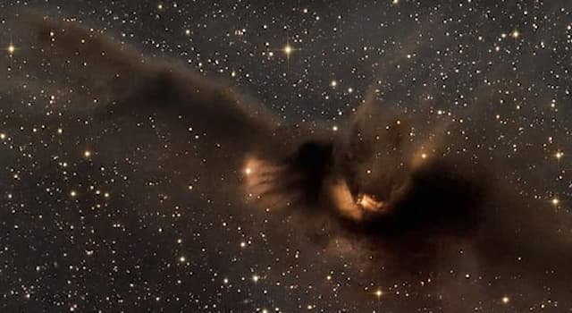 Сiencia Pregunta Trivia: ¿En qué constelación se encuentra la Nebulosa del Murciélago?