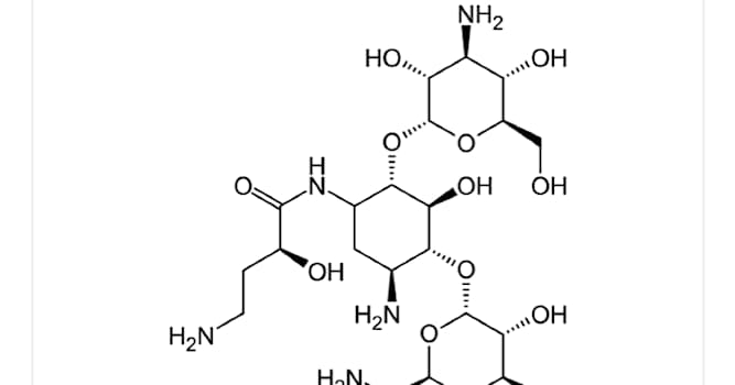 nauka Pytanie-Ciekawostka: Kto odkrył amikacynę?