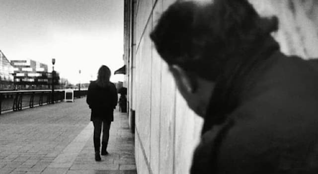 Toplum Trivia Sorusu: Birini sürekli rahatsız etme veya takip etme davranışını en iyi tanımlayan kelime nedir?