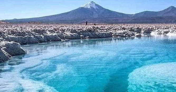 Geografía Pregunta Trivia: ¿A qué altura sobre el nivel del mar se localiza el salar de Pedernales ?