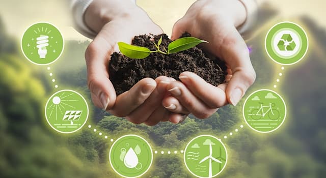 Doğa Trivia Sorusu: Doğadan gelen ve insanlar tarafından kullanılan kaynaklar?