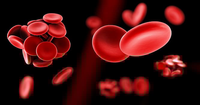 Bilim Trivia Sorusu: Hematoloji neyle ilgilenir?