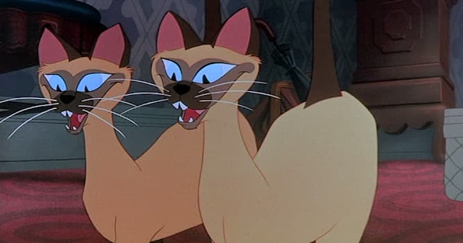 Кино Вопрос: Почему в ремейке мультфильма «Леди и Бродяга» не появляются сиамские кошки?