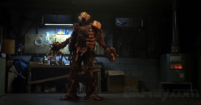 Film & TV Triviafråga: Vad är en skräpfilm?