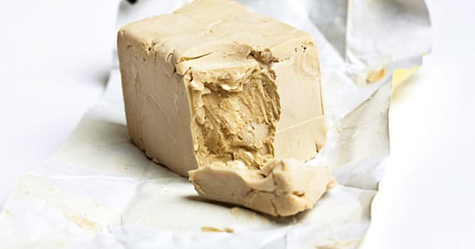 natura Pytanie-Ciekawostka: Czym jest drożdże?