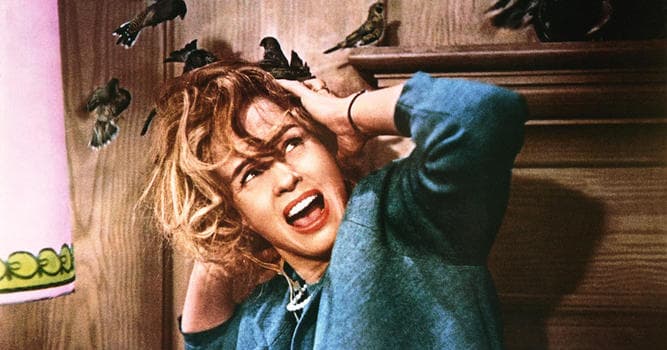 Sinema & TV Trivia Sorusu: "Kuşlar" adlı 1963 korku filmini kim yönetti?