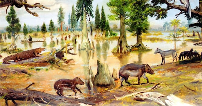 Coğrafya Trivia Sorusu: Senozoyik Dönemi'nin bir parçası olan dönem hangisidir?