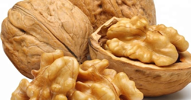 History Trivia Question: Why were walnuts not allowed to be eaten by commoners in Babylon?