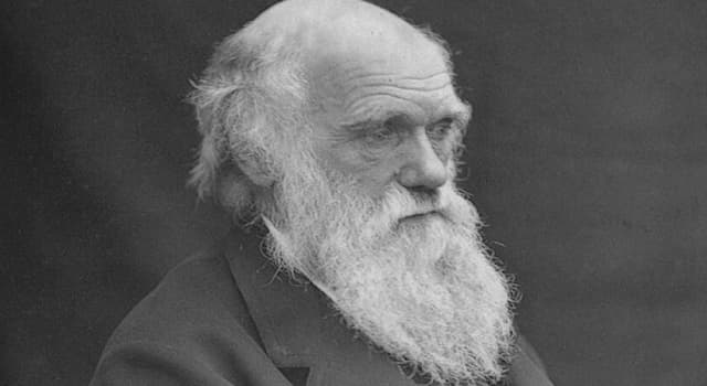 Science Question: Comment s'appelle l'ensemble des recherches et théories de Charles Darwin ?