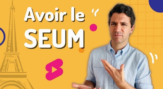 Culture Question: Quelle est la signification de l'expression populaire “Avoir le seum” ?
