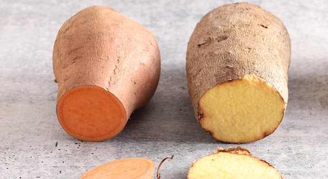 Nature Trivia Question: What is the difference between yams and sweet potatoes?