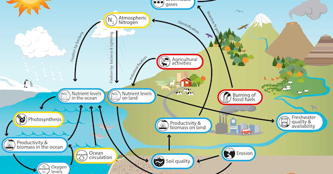 Which biogeochemical cycle plays a... | Trivia Questions | QuizzClub