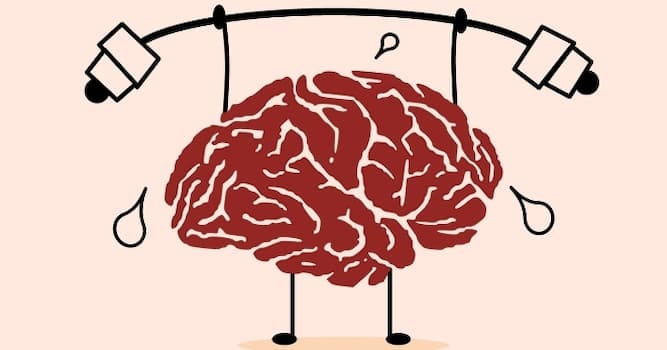 Natuur Trivia Vraag: Hoeveel procent van onze energie verbruikt onze hersenen?