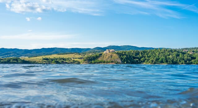 natura Pytanie-Ciekawostka: Która z poniższych roślin najczęściej rośnie w wodzie?