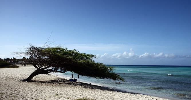 Naturaleza Pregunta Trivia: ¿Qué tipo de clima predomina en Aruba?