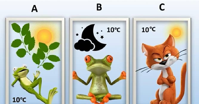 Natuur Trivia Vraag: Kijk naar de tekening. In welke ruimte is na verloop van tijd het zuurstofgehalte van de lucht het laagst?