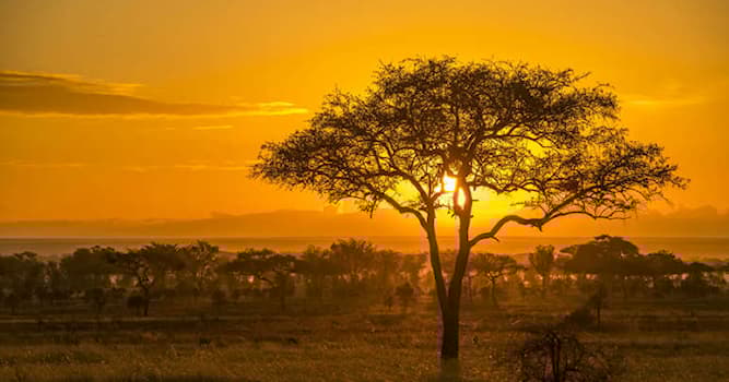 Geografía Pregunta Trivia: ¿Dónde se encuentra el Parque Nacional Serengueti?