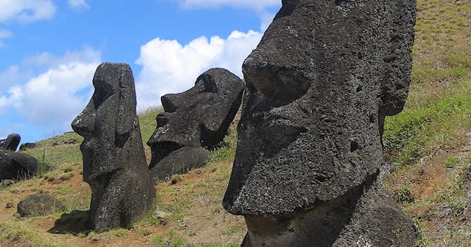 Geografia Pytanie-Ciekawostka: Które zdanie na temat posągów Moai z wyspy wielkanocnej jest prawdziwe?