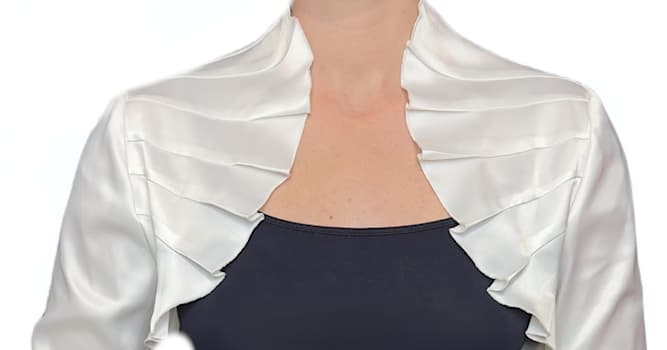 Culture Question: Quel vêtement est représenté sur l'image ?