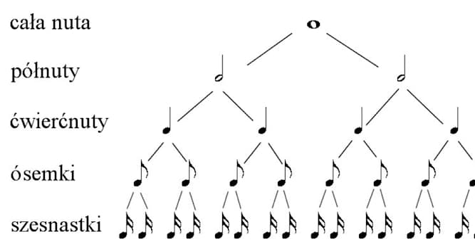 nauka Pytanie-Ciekawostka: Ile półnut ma całą nuta?