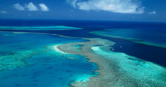 Géographie Question: Où se trouve la Grande Barrière de Corail ?