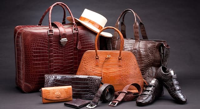 Culture Question: Quel est le terme pour une personne qui travaille le cuir ?