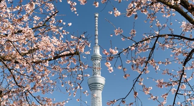 Aardrijkskunde Trivia Vraag: In welk land staat de Tokyo Skytree?