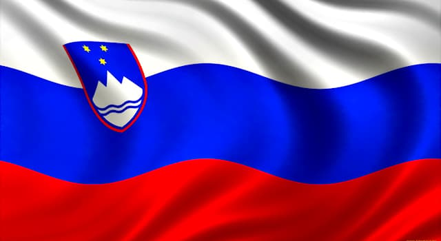 Общество Вопрос: Какая форма правления в Словении?