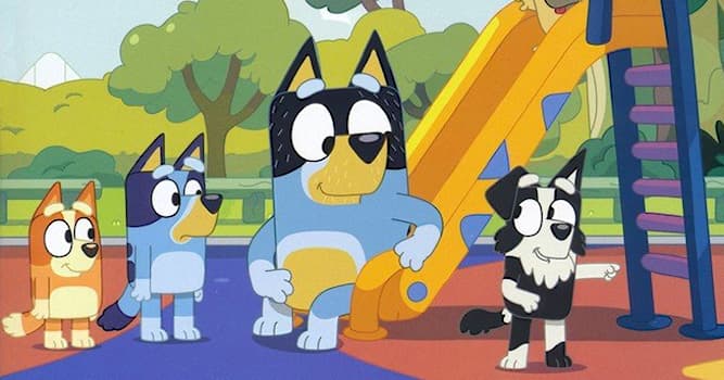 Films & TV Trivia Vraag: Welk hondenras zijn Bluey en haar familie uit de gelijknamige televisieserie?