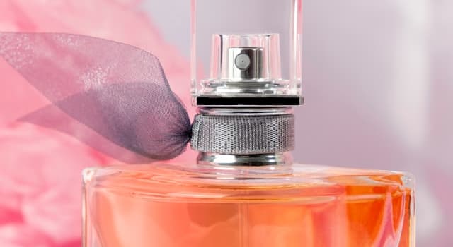 społeczeństwo Pytanie-Ciekawostka: Która z tych firm produkuje perfumy?