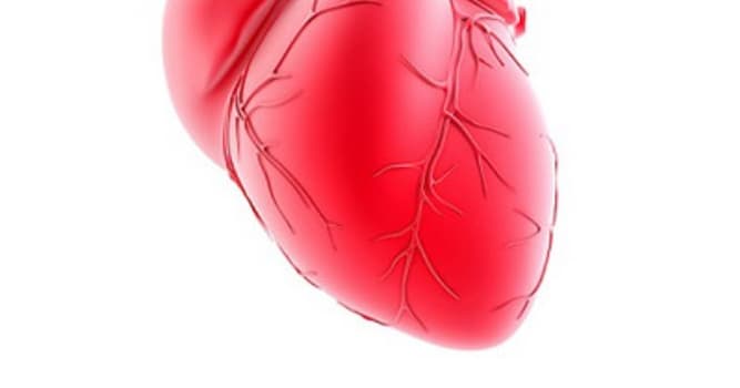 과학 상식 퀴즈: 세계 최초로 좌간동맥주간부 병변의 치료 방법으로 혈관 스텐트 시술의 안전성과 효과성을 입증해낸 인물은?