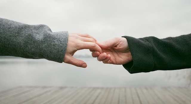 Science Question: Comment s'appelle la capacité de percevoir le toucher ?