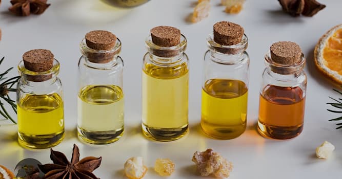 Природа Вопрос: Эфирное масло чего является аналогом каннабиса?