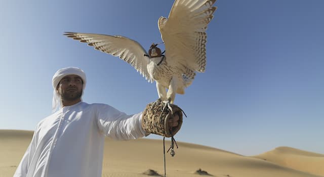 Kultura Pytanie-Ciekawostka: Jaki typ klimatu panuje w Zjednoczonych Emiratach Arabskich?