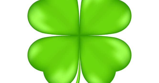 Kültür Trivia Sorusu: Dört yapraklı yoncaya hangi erdem atfedilir?