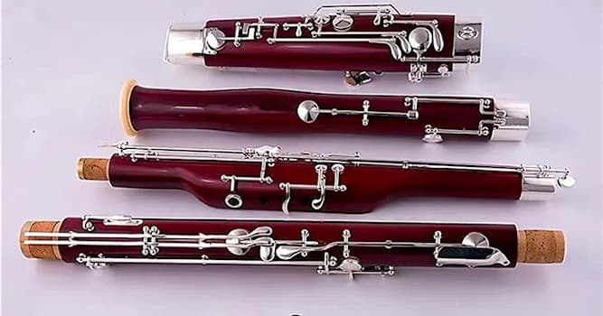 Kültür Trivia Sorusu: Fagot nedir?